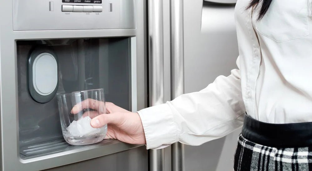 Are Refrigerator Water Filters Necessary?